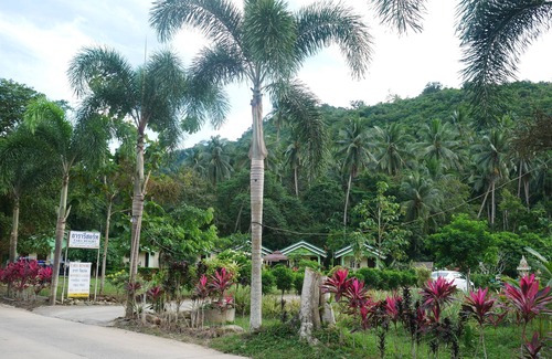 Na Thon Hotel | Top-Rated Tara Resort Samui: Pool, Breakfast & Family Friendly