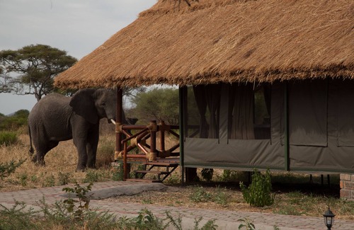 Tarangire National Park Cabin | Tarangire Simba Lodge