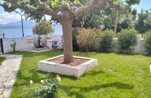 Marathias House | Pet-Friendly Tas Millstone House with Oceanfront Views