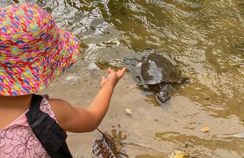 Brinsmead Other | Enjoy Family Fun at Tasman Holiday Parks - Cairns Cool Waters