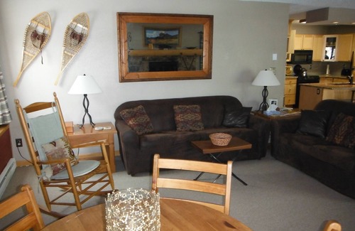 Crested Butte Condo | Tranquil Retreat with Spa & Hot Tub - Rated 10/10 by Guests