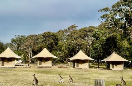 Tathra Other | Family-Friendly Tathra Beach Eco Camp with Kitchen Access