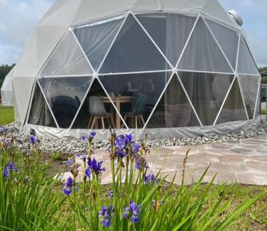 Okrzeszyn Other | Experience Tatra Glamp Okrzeszyn: Pet-Friendly Retreat