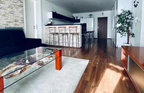Velky Slavkov Apartment | Pet-Friendly Stay at Apartmanovy dom Slavkov, Rated 8.9/10