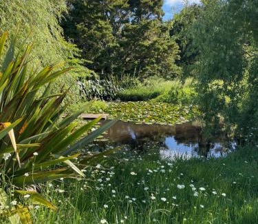 Matakana House | Tauhou Matakana