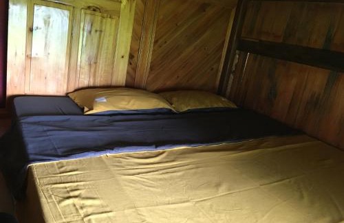 Sa Pa Bed & Breakfast | Experience Tavanparadise: Pet-Friendly Homestay Retreat