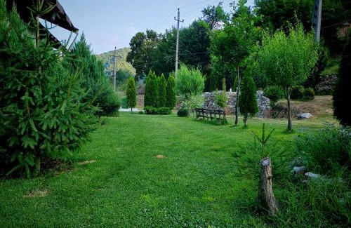 Izvoru Barzii Other | Pet-Friendly Taverna Gradetului with Perfect 10 Rating