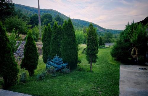 Izvoru Barzii Other | Pet-Friendly Taverna Gradetului with Perfect 10 Rating