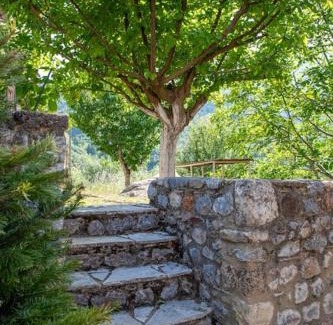 Tripi House | Discover Taygeti's Mountain Lodge: 9.4/10 Ratings & Pet Friendly