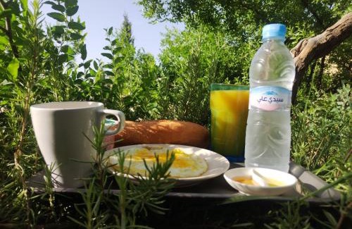 Taza Apartment | Pet Friendly Getaway at French House with Kitchenette