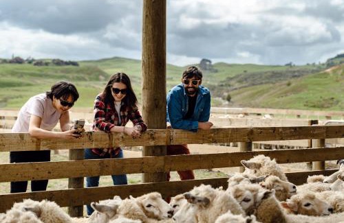Te Akau House | Discover Te Karaka Lodge: 5-Star Retreat with Ocean Views