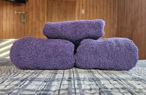 Hanga Roa House | Relax in Suit Florencia: Pet-Friendly Room for Couples