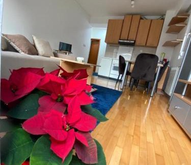 Centar Apartment | Cozy Tea Apartment - Child Friendly with 9/10 Guest Rating