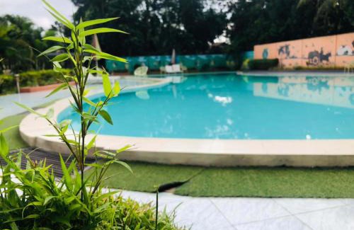 Sreemangal Upazila Hotel | Relaxing Retreat at Tea Heaven Resort with Pool & Dining