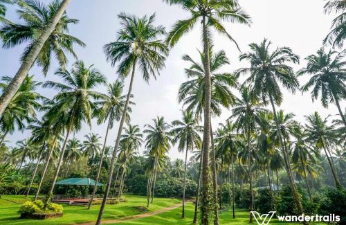 Malappuram House | Family-Friendly Retreat at Teak Town with Pool Access