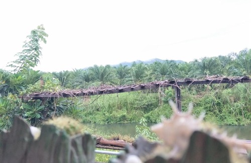 Thoeng Resort | Welcoming Teak Villa: Family-Friendly Retreat Awaits