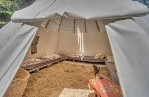 Destne v Orlickych horach Other | Teepee u Šedého Vlka