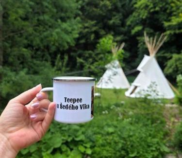 Destne v Orlickych horach Other | Teepee u Šedého Vlka