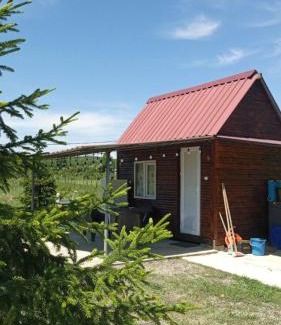 Senaki House | Cozy Tekhura Guest House - Pet and Child Friendly Retreat