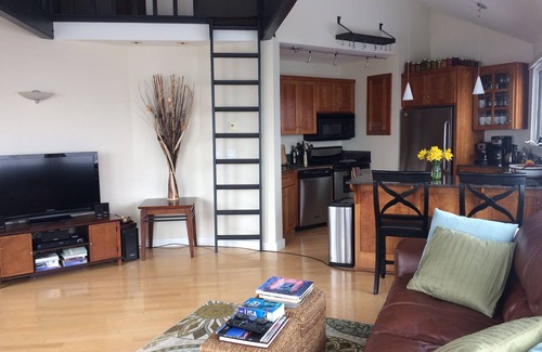 Telluride Condo | Indulge in Telluride SkyBox Retreat with Spa & Breakfast