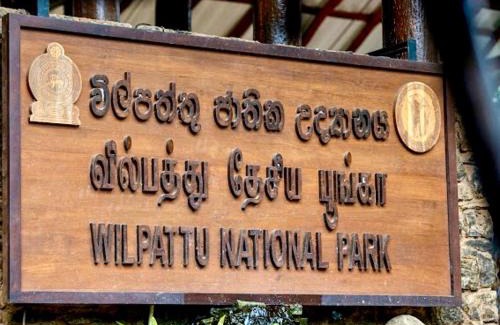 Nochchiyagama Cabin | Experience TEMBO Cottage Wilpattu: Family-Friendly Retreat