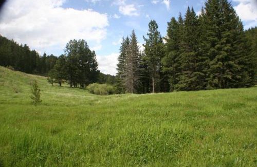 Custer House | Inviting Tenderfoot Creek Cabin - Family-Friendly Getaway