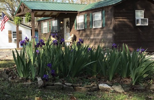 Saltillo House | Charming Tennessee River Tiny House with Breakfast & Kitchen