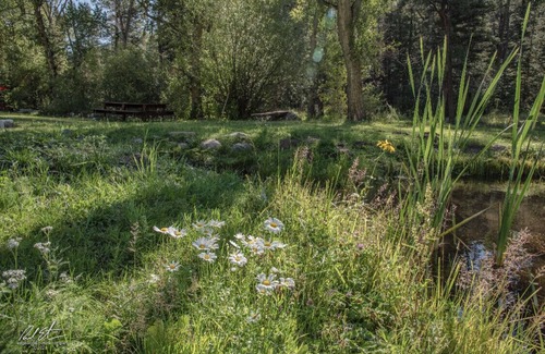 Tererro RV Rental | Pet-Friendly Tent & RV Camping by the Scenic Pecos River