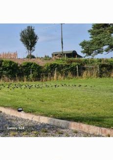 County Laois Other | Tent space on grass showers & toilet inside