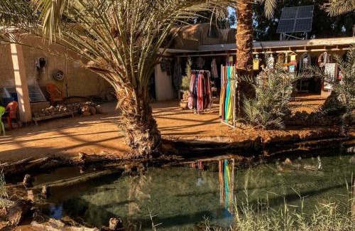 Ben Guerdane Other | Discover Tente Ksar Ghilane with Inviting Pool Amenities