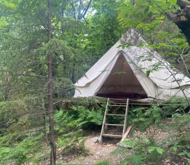 Dompnac Other | Tente tipi en forêt de châtaigniers