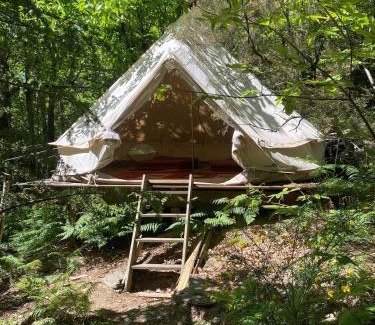 Dompnac Other | Tente tipi en forêt de châtaigniers