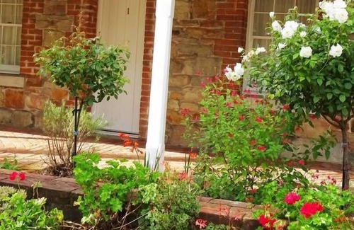 Tenterfield Cottage | Discover Tenterfield's White Rose Cottage - Rated 9.6/10