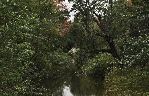 Montville Other | Inviting Tentrr - Brookside Haven for Families and Pets