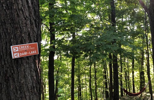 Ottsville Other | Discover Tentrr - Nockamixon Forest Camp for Family Retreats