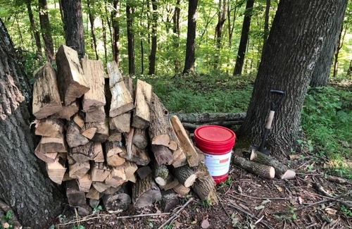 Ottsville Other | Discover Tentrr - Nockamixon Forest Camp for Family Retreats