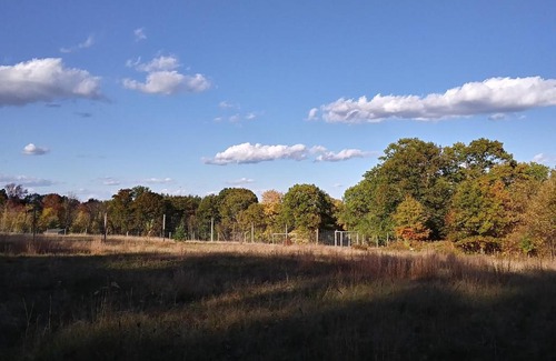 Hollis Center Other | Pet-Friendly Retreat at Tentrr Signature Site - Deerwander Camp B