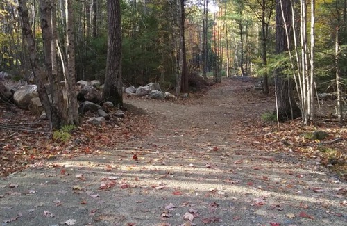 Hollis Center Other | Pet-Friendly Retreat at Tentrr Signature Site - Deerwander Camp B