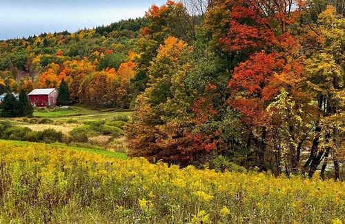 Cooperstown - Otsego Lake RV Rental | Tentrr Signature Site - Fenimore Slope