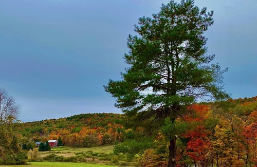 Cooperstown - Otsego Lake RV Rental | Tentrr Signature Site - Fenimore Slope
