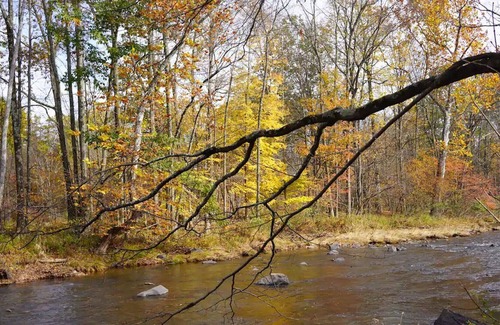 Saugerties RV Rental | Tentrr Signature Site - Chestnut Hill Farm Stay - C1