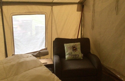 Turtletown RV Rental | Tentrr Signature Site - WineDrops Creekside Camping #1 / McFarland Nights