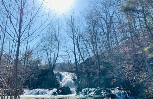 Glace Other | Explore Beaverdam Falls: Family-Friendly Camping Retreat