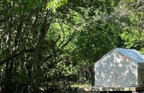 Irene RV Rental | Tentrr Signature Site - Blue Moon Camping (Meadow)