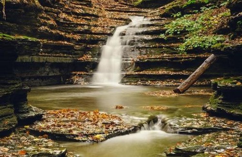 Ithaca Other | Experience Nature at Tentrr Signature Site - Orchard and Gorge
