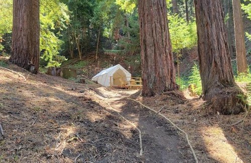 Soquel Other | Discover Tentrr Signature Site - Redwood Grove, Pet Friendly