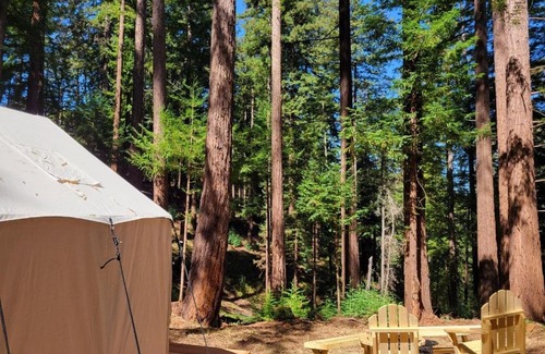 Soquel Other | Discover Tentrr Signature Site - Redwood Grove, Pet Friendly