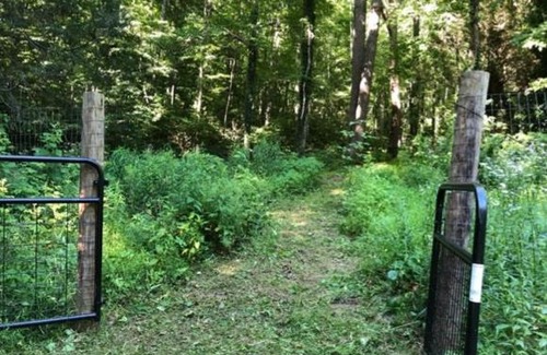 Swannanoa Other | Pet-Friendly Tentrr Signature Site - Summer Haven Campsite