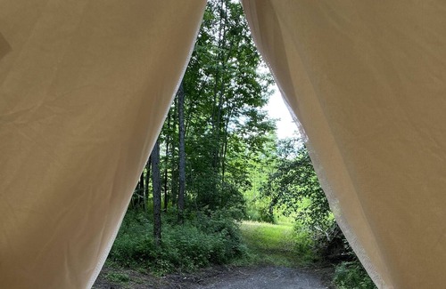 Hartwick RV Rental | Tentrr Signature Site - "Serene"