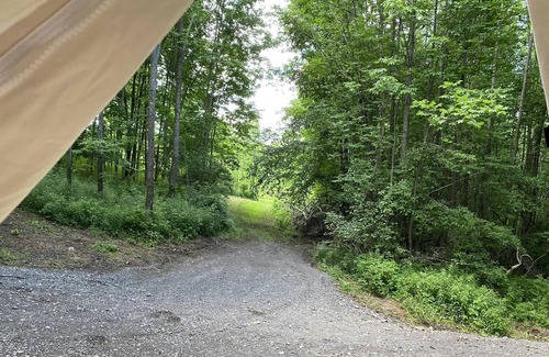 Hartwick RV Rental | Tentrr Signature Site - "Serene"
